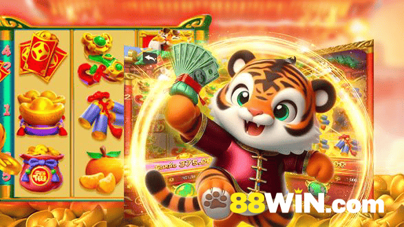 88WIN Rio de Janeiro - Professional Dealers